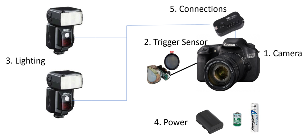 DSLR camera trap active design elements