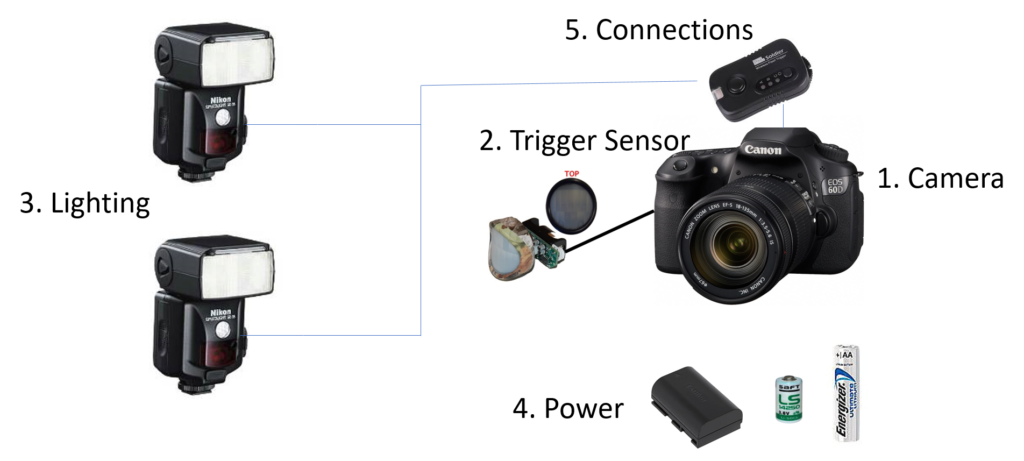 Best Wildlife Camera Trap Overview & Set Up Guide 2023