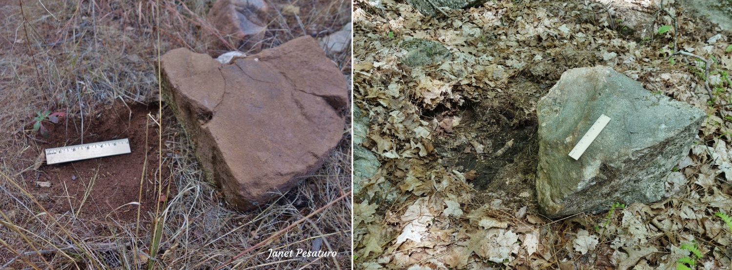 rocks flipped by bears foraging for insects