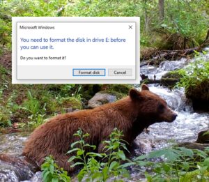 grizzly bear crossing stream vs. SD card error