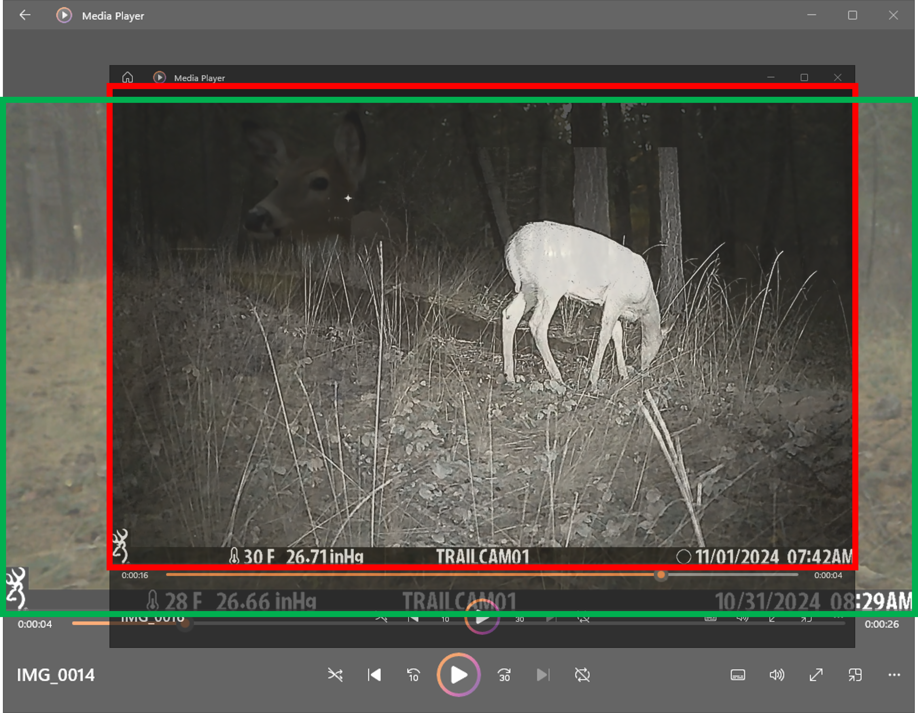 black and white and color trail camera image comparison
